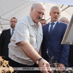 Лукашенко продолжает серию выездов в регионы по сельхозтематике, в этот раз главная тема - семеноводство