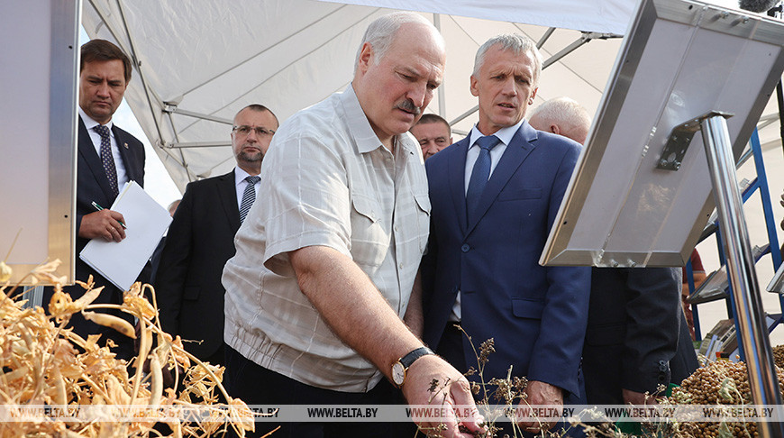 Лукашенко продолжает серию выездов в регионы по сельхозтематике, в этот раз главная тема - семеноводство